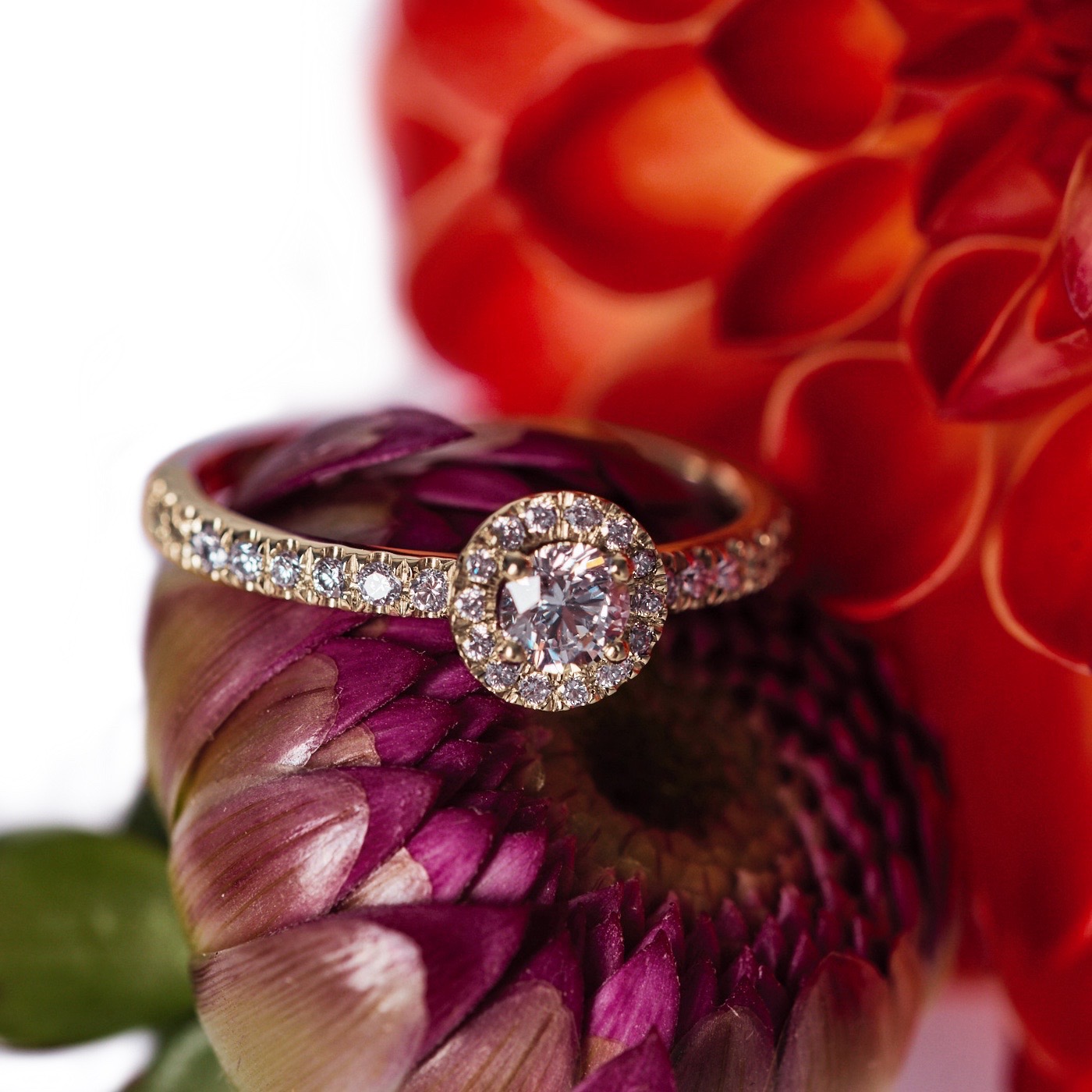 solitaire_les_absolues_couronne_05ct_pavé_-_18k_rose_gold_lab_grown_diamond_loyale_paris_2 6.jpg2